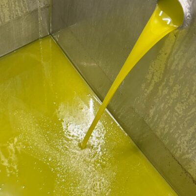 Imagen de WhatsApp 2025-10-28 a las 10.37.44_0e902471 Imagen de WhatsApp 2025-10-28 a las 10.37.44_0e902471